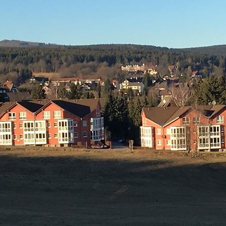 Apartment Gosch An Der Skiwiese Braunlage Luaran gambar
